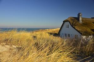 an old house with a grass roof sitting on the beach at Brazil - Rio de Janeiro in Rio de Janeiro