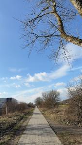 ein Fußweg, der eine Straße in einem Feld hinunterführt in der Unterkunft Home Away From Home in Schönefeld