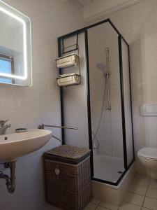 a bathroom with a shower and a sink and a toilet at Ferienwohnung BoddenBee in Glowe