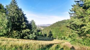 een uitzicht op een vallei met bomen in een veld bij Agroturystyka Monte Luna in Czarnów