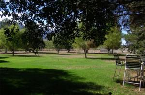 Gallery image of Tavaresinn Bed and Breakfast in Alamogordo