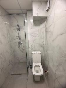een badkamer met een toilet en een douche bij Central Square Apartment in Skopje