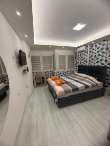 een slaapkamer met een groot bed en een flatscreen-tv bij Central Square Apartment in Skopje
