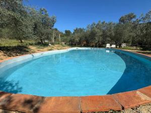 een groot blauw zwembad met bomen op de achtergrond bij Agricampeggio Borgo Agna in San Giustino Valdarno