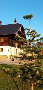 En have udenfor Stadtbauernhof Salzburg - Ferienwohnung - Gut Unterleithen - farm & the city + 18 billeder