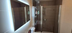 Ένα μπάνιο στο XXL Cosy apartments Villa Goisern, centre with mountain view +71 φωτογραφίες