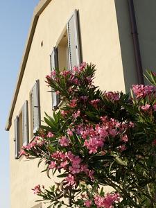 The building in which the country house is located