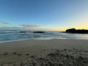 Naturlandskabet i nærheden af lejligheden