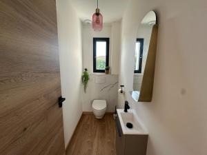 een badkamer met een toilet, een wastafel en een spiegel bij Chambres dans la Villa Larros in Gujan-Mestras +24 foto's