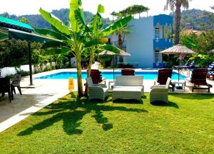 a group of chairs and a tree next to a pool at Erol Motel in Orhaniye