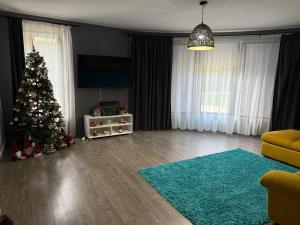 a living room with a christmas tree and a rug at Vila Liana in Stana