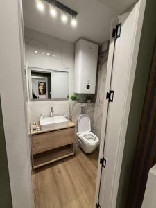 ein Badezimmer mit Toilette, Waschbecken und Spiegel in der Unterkunft ElMar Apartment - ЕлМар Апартмент in Yambol + 7 Fotos