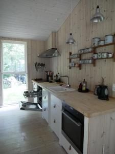 a kitchen with a sink and a counter top at Summerhouse in Ulvshale, Møn in Stege