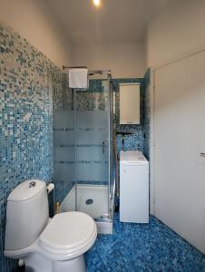 un bagno con wc, doccia e lavandino di CHARMING HOME LE RUOTE a Firenze Altre 14 foto