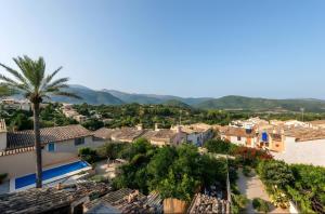 a view of a village with a palm tree at Sant Miquel in Campanet