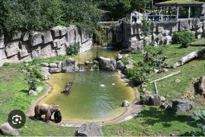 صورة لـ Waldnest Ferienwohnung في غيورغسمارينهوته