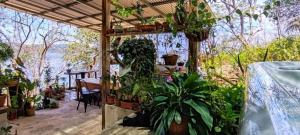 a patio with plants and a table and a table at Teak house in a forest above the beach  +29 photos