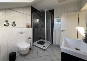 a bathroom with a shower and a toilet and a sink at SkyLoft Rheinland in Bornheim