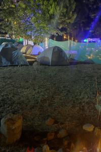 DāmbukThe Wooden Haven的一群帐篷在晚上在田野里