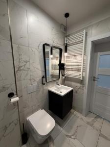 a bathroom with a sink and a toilet and a mirror at Apartamenty Prestiż Podfigórna 200 metrów od centrum in Koszalin