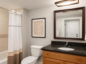 Koupelna v ubytování Marriott's Timber Lodge- STUDIO