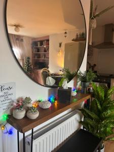 a mirror above a table with plants on it at The Cwtch in Ludlow