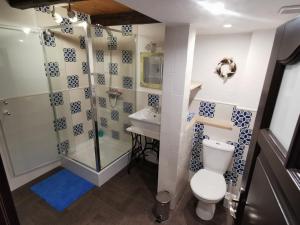 a bathroom with a shower and a toilet and a sink at Zielone Wzgórze in Lasowka