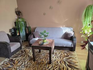 a living room with a couch and a table at Centrum Jagoda in Pisz