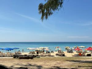 Příroda nedaleko penzionu