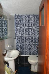 Un baño con lavabo, inodoro y cortina de ducha. en ΑΡΣΙΝΟΗ apartments1, en Arachova 15 fotos más