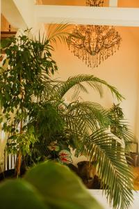 Φωτογραφία από το άλμπουμ του TheLodge σε Welzheim