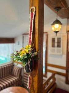 Swimmingpoolen hos eller tæt på Sarajevski begluk