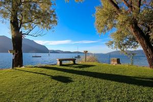 a bench sitting on the grass next to a body of water at Residenz La Selva Studio-Apartments in Ghiffa +4 photos