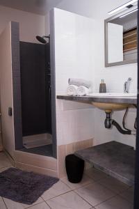 a bathroom with a sink and a shower at Cocon Madeleine Confort et piscine wifi et climatisation in Cayenne