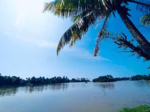 a view of a river with a palm tree at Harshi Guest House in Matara