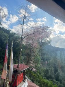 a building with two umbrellas next to a mountain at DreamVilla Retreat Apartment Pelling in Pelling