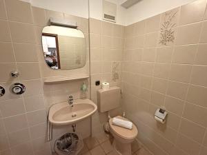een badkamer met een wastafel, een toilet en een spiegel bij Gschwendtnerhof App17 Blum in Aschau im Chiemgau +12 foto's