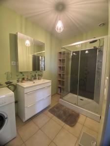 Koupelna v ubytování Maison Pro Le Blanc - 3 chambres