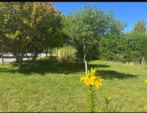 Afbeelding uit fotogalerij van Casa de Campo Quillon 