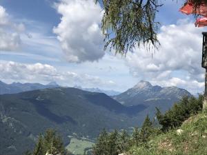 a view of a mountain valley with a tree at Lärchenhütte in Jadersdorf