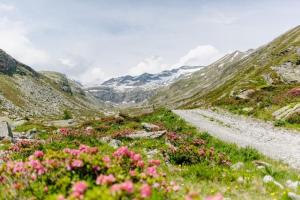 Příroda nedaleko prázdninového domu