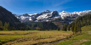 Naturlandskabet i nærheden af feriehuset