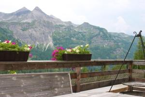 Naturlandskabet i nærheden af feriehuset