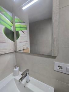 une salle de bains avec un lavabo et un miroir dans l'établissement Camino Santiago Santiago Road, à O Porriño