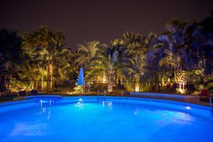 Bazén v ubytování Apartamentos El Palmeral de Madaria nebo v jeho okolí