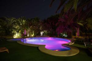 Bazén v ubytování Apartamentos El Palmeral de Madaria nebo v jeho okolí