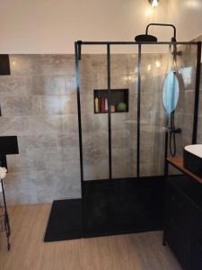 Le jardin de Christine في Vinneuf: حمام مزود بدش ومغسلة