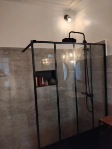 a shower with a glass door in a bathroom at Le jardin de Christine in Vinneuf