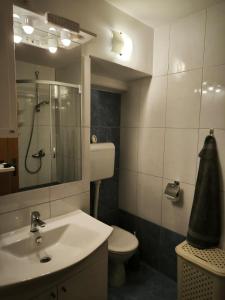 a bathroom with a sink and a toilet and a mirror at Apartment Karega in Šibenik