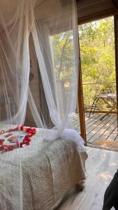 Φωτογραφία από το άλμπουμ του Cabane & Dîner Gourmet Inclus σε Barjols